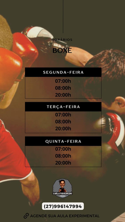 Aula de Boxe