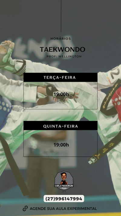 Aula de Taekwondo